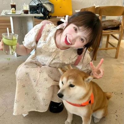 是,大臣第二季